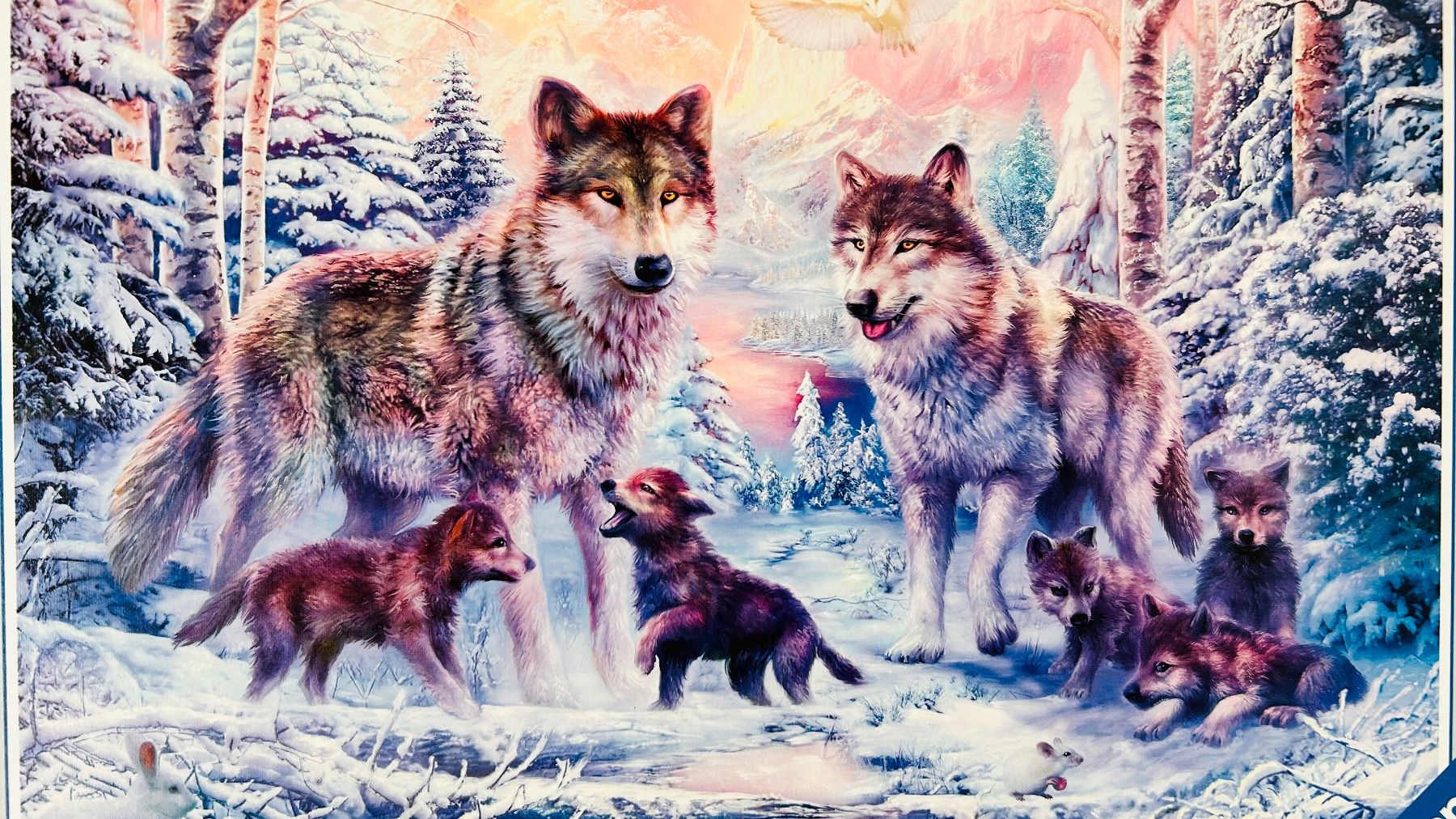 Heye Puzzles: Puzzle Wolfsfamilie – Gebraucht aus Amden von Songbird7 1