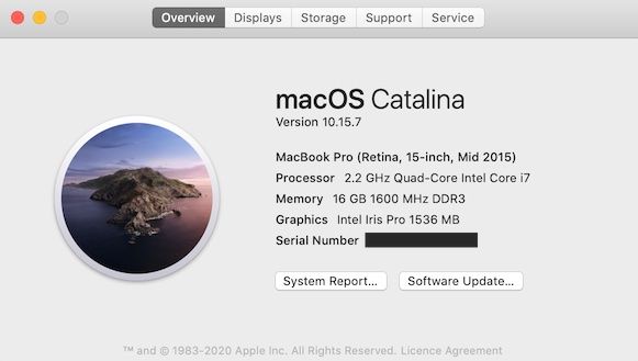 Apple Notebook: MacBook Pro (Retina, 15-inch, Mid 2015) – Difettoso da Geneve venduto da MartyGeneve 6