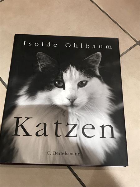 Libri: Isolde Ohlbaum - Katzen - C. Bertelsmann – Nuovo (secondo la descrizione) da Bergdietikon venduto da book-4-you