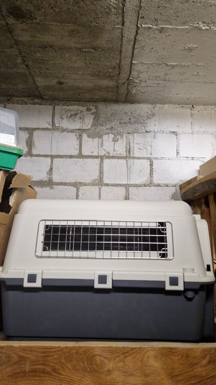Gabbie, trasporto & Sicurezza: Hunde Transportbox – Usato da Zürich venduto da Antron