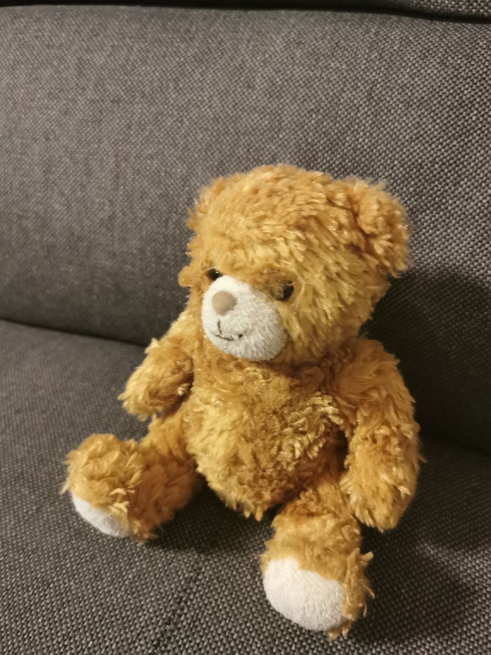 Teddy Hermann Giocattoli: Teddybär Teddy-German GmbH Deutschland – Usato da Buchs SG venduto da and_s6ps 4