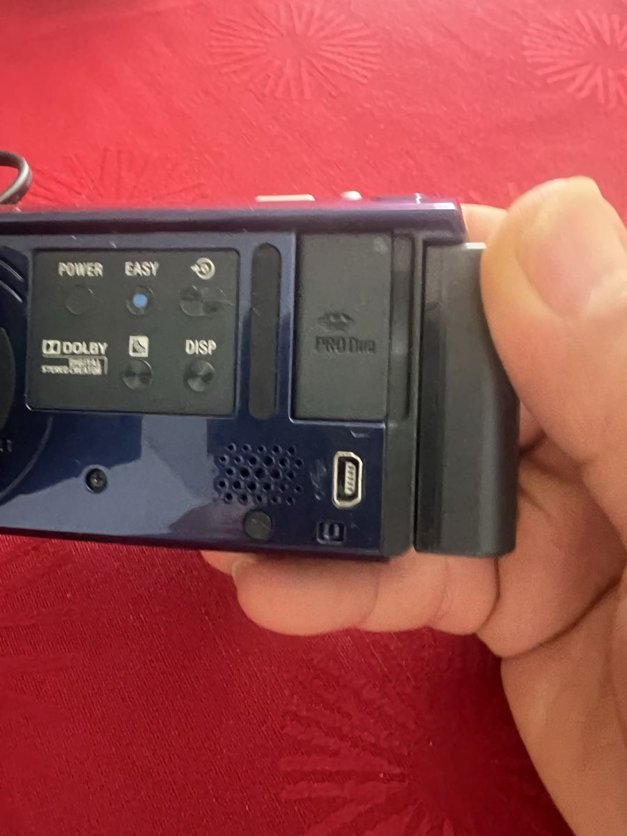 Sony Videocamere: Sony handycam DCR-SX30 – Usato da Zürich venduto da jao_2bx7 1