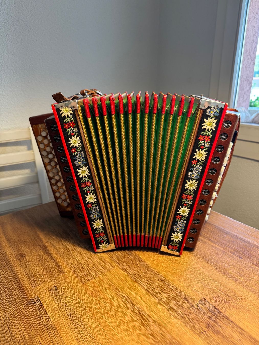 Strumenti musicali: Schwyzerörgeli – Usato da Buchs LU venduto da boe_6dgx 2