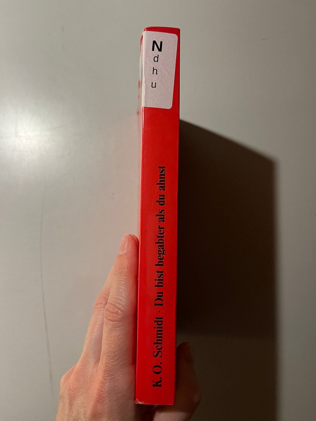 Libri: K. O. Schmidt: Du bist begabter als du ahnst – Usato da glattfelden venduto da kimiaxel 3