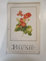Korsch Kalender Wilhem Bühler Zauber der Blume 1975
