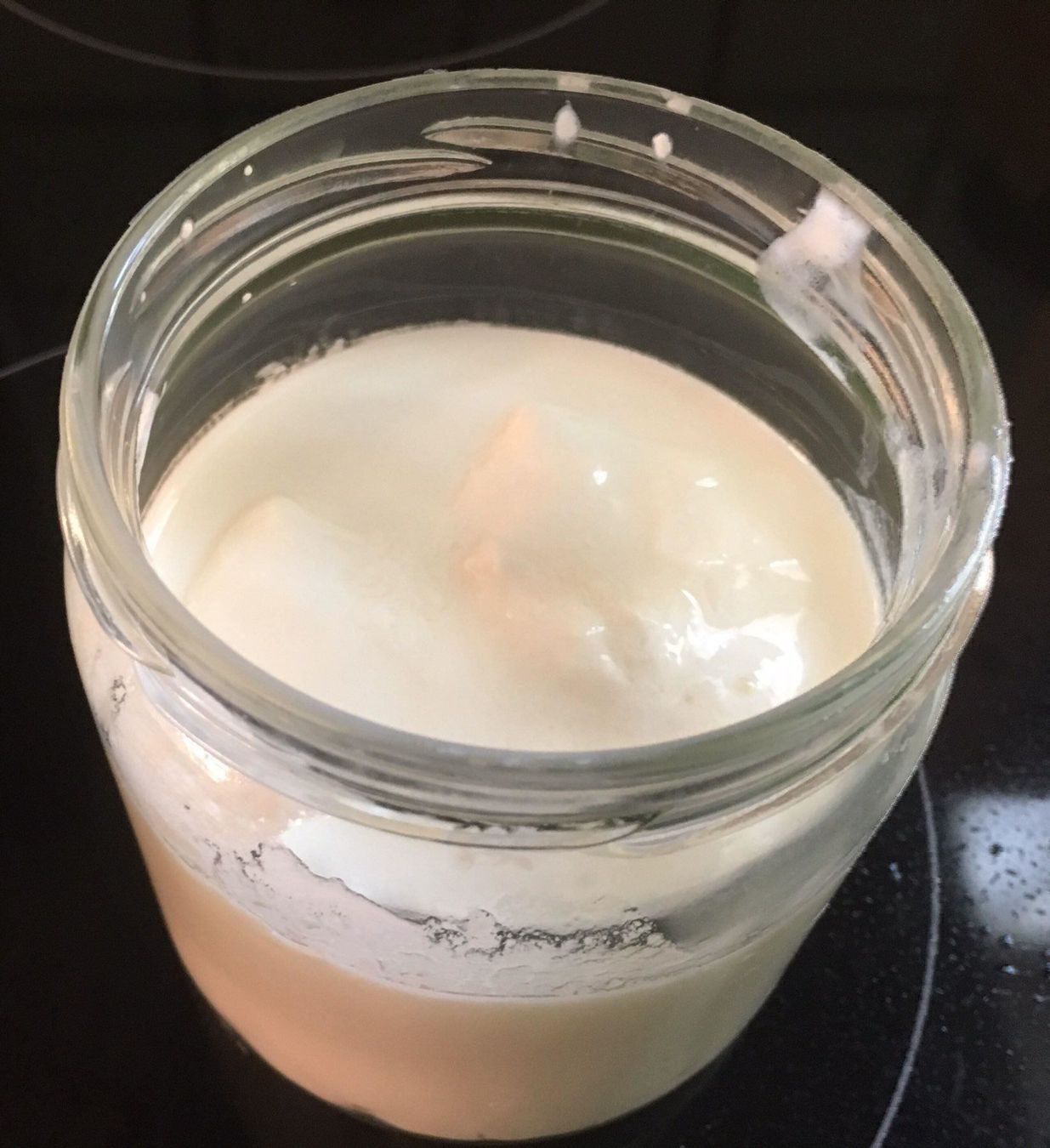 Cibi & Specialità: Kefir, Milchkefir (Bio) – Nuovo (secondo la descrizione) da Wattwil venduto da Radical3 2