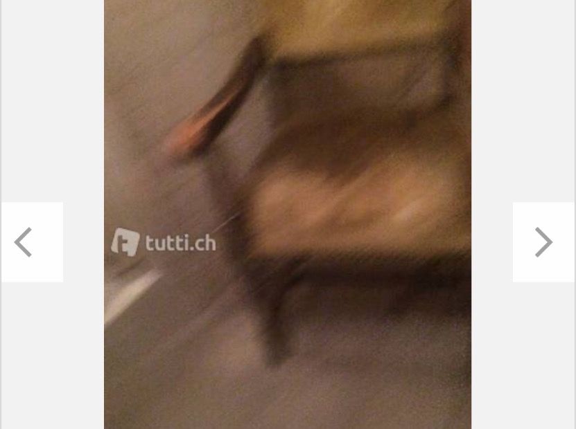Sedie: Stuhl Tudor – Usato da Basel venduto da sch_9g6x 1