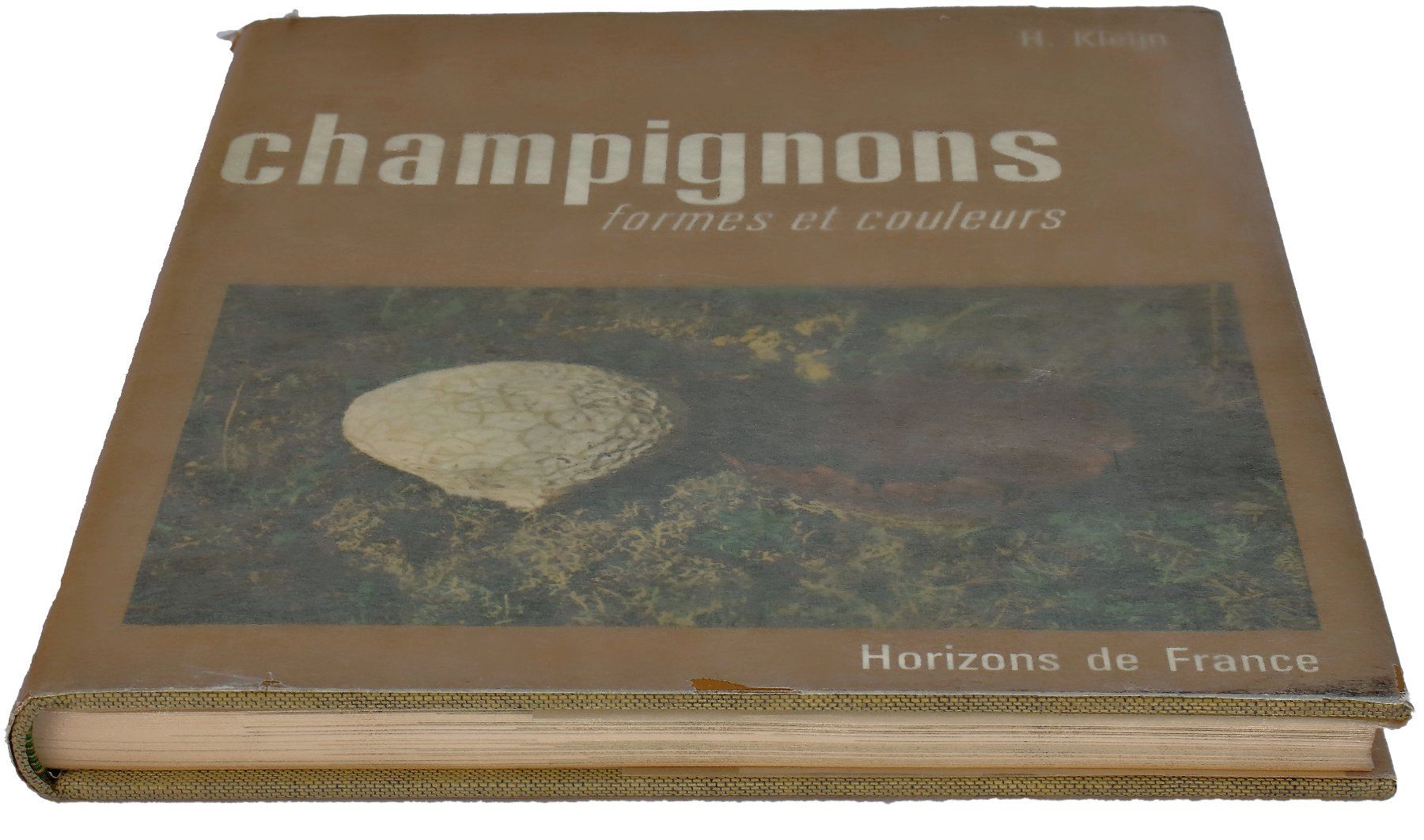 Libri: CHAMPIGNONS "Formes et Couleurs" H. Kleijn – Usato da Onex venduto da gonsla 3