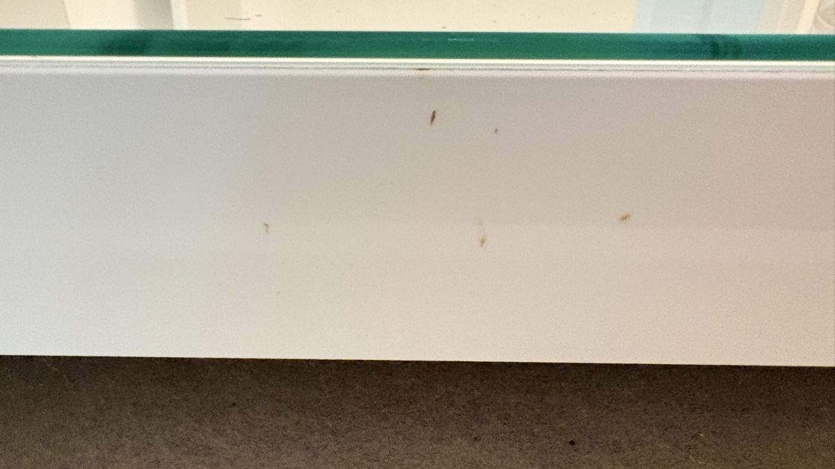 Ikea Scrivanie: Ikea Schreibtisch – Usato da Luzern venduto da lea_7hn8 1