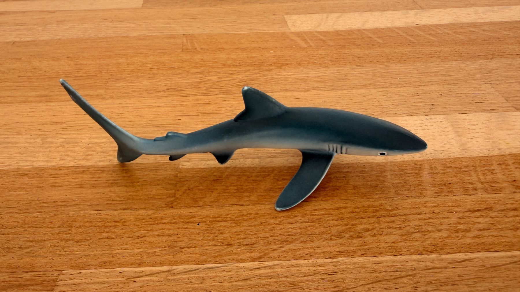 Schleich Giocattoli: SCHLEICH - Blauhai 14701 – Usato da Winterthur venduto da Secondhand-Family 4