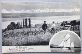 St. Petersinsel - Souvenir de l' Ile de St. Pierre