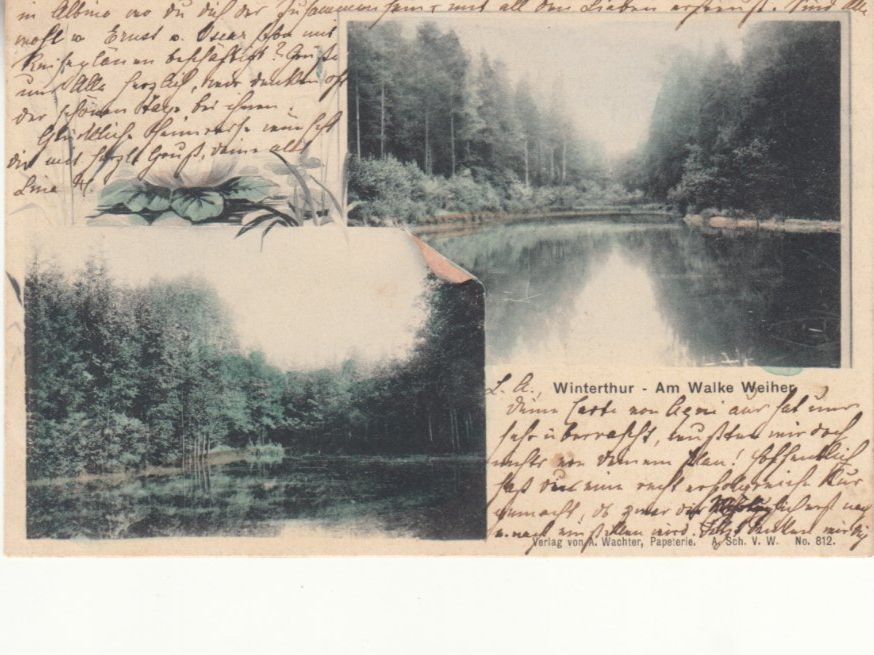 Cartoline postali: Winterthur Walke Weiher 1906 – Usato da Bürglen TG venduto da StampGraf