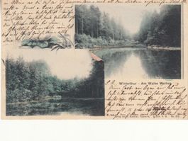 Winterthur Walke Weiher 1906
