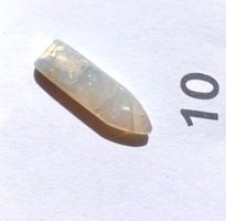 Belemnite opalisierte Fossilie      Opal       TOP  UNIKAT