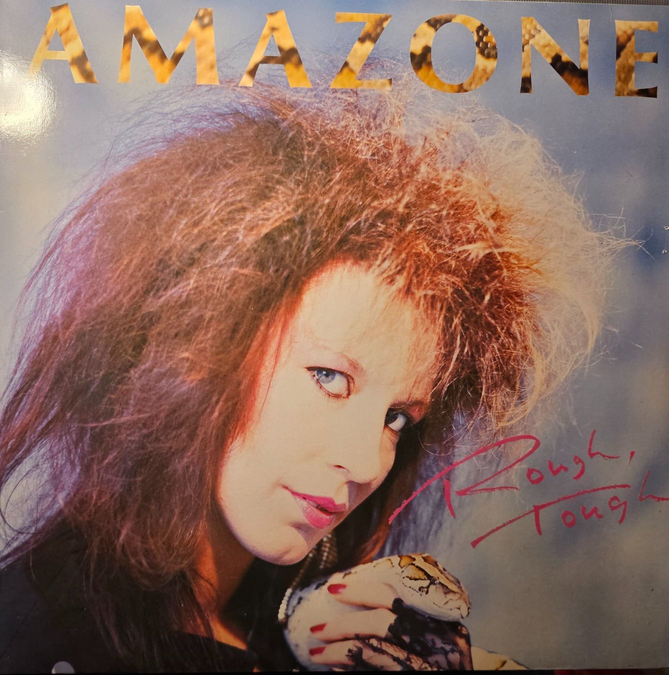 Dischi in vinile: Amazone – Rough,Tough – Usato da Wahlen b. Laufen venduto da Cg10