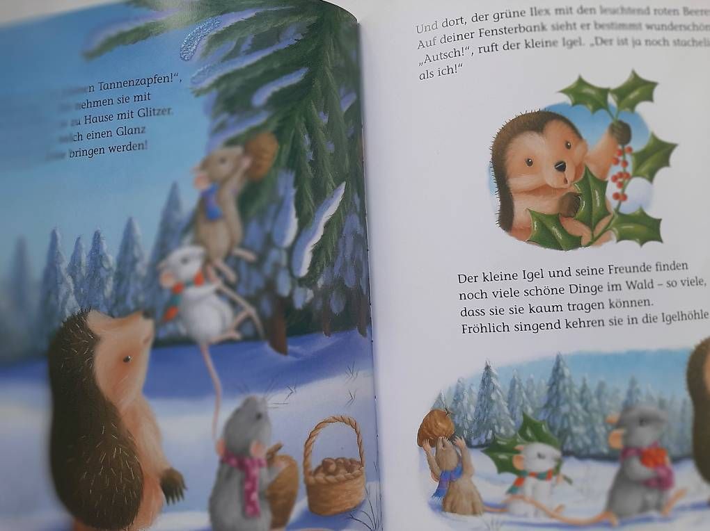 Bücher: Kinderbuch "Der kleine Igel feiert Weihnachten"  – Gebraucht aus Basel von Renato_hirzi 2
