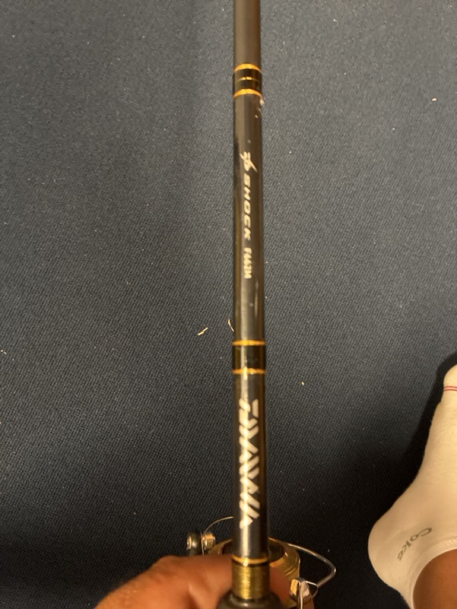 Daiwa Canne da pesca: Daiwa Angelrute inkl. Rolle – Usato da Balgach venduto da Organisator 1