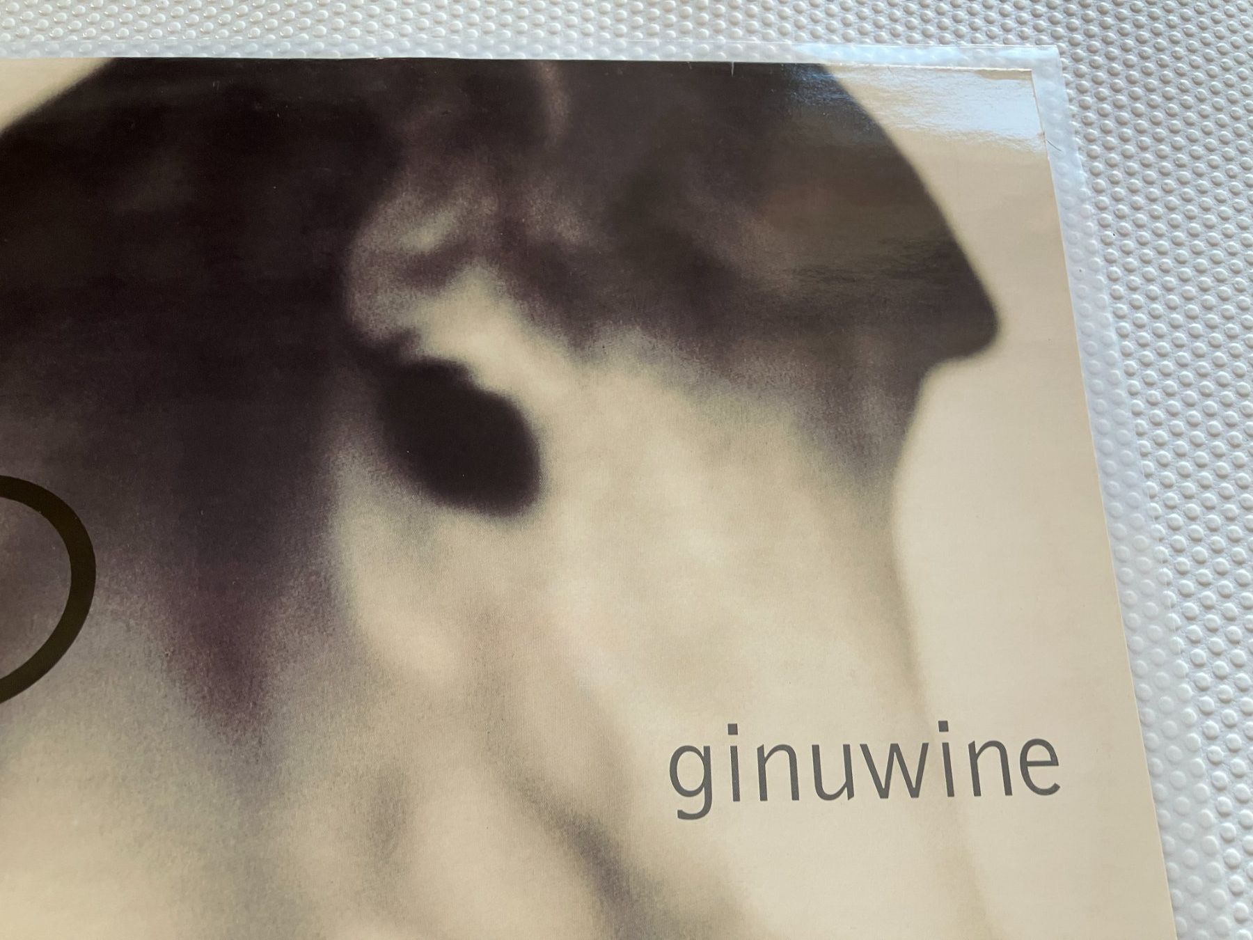 Dischi in vinile: Ginuwine – Usato da Aarwangen venduto da Jukebox3 1