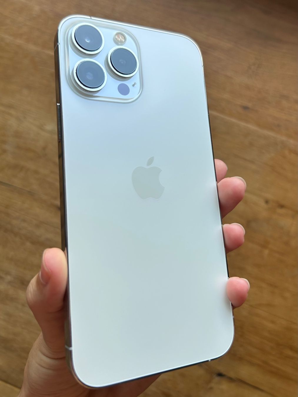 Apple Portables: iPhone 13 Pro Max silber 265GB – D'occasion à Amden par pia_q2m5