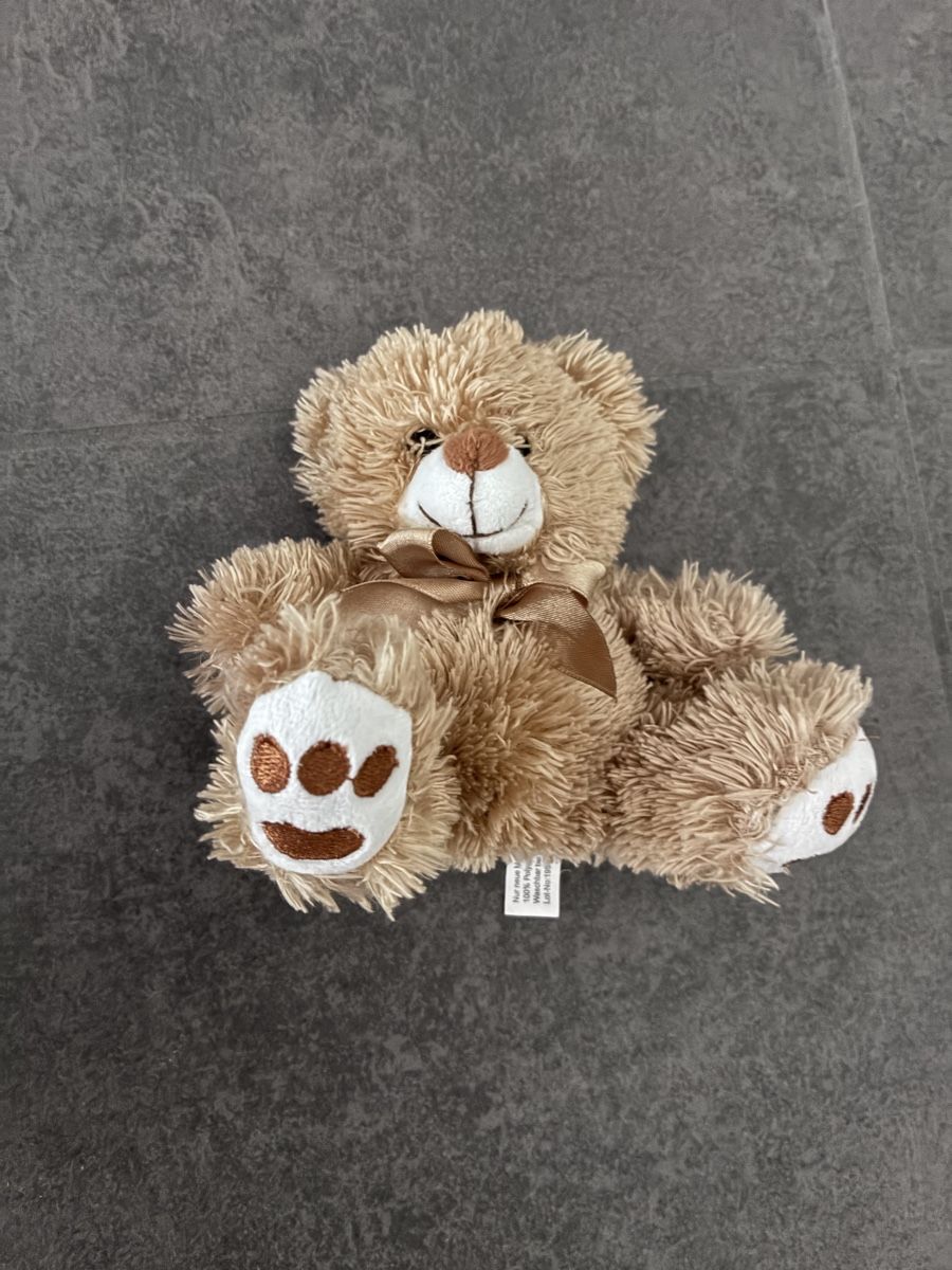 Spielzeuge: Teddybär – Gebraucht aus Wiler b.Utzenstorf von Verkauf333