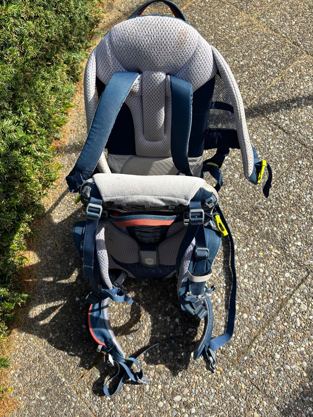 Deuter Marsupi portabebè: Deuter Kindertrage Kid Comfort Active – Usato da Russikon venduto da els_w7yj 1
