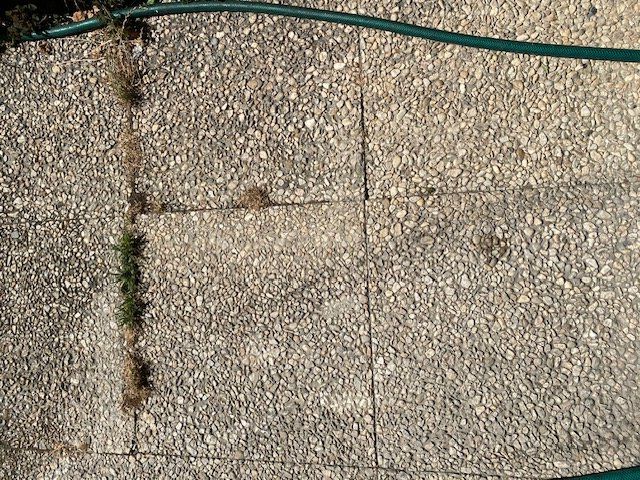 Revêtements de sol: Waschbeton Gartenplatten – D'occasion à Bösingen par GP-Tech 1