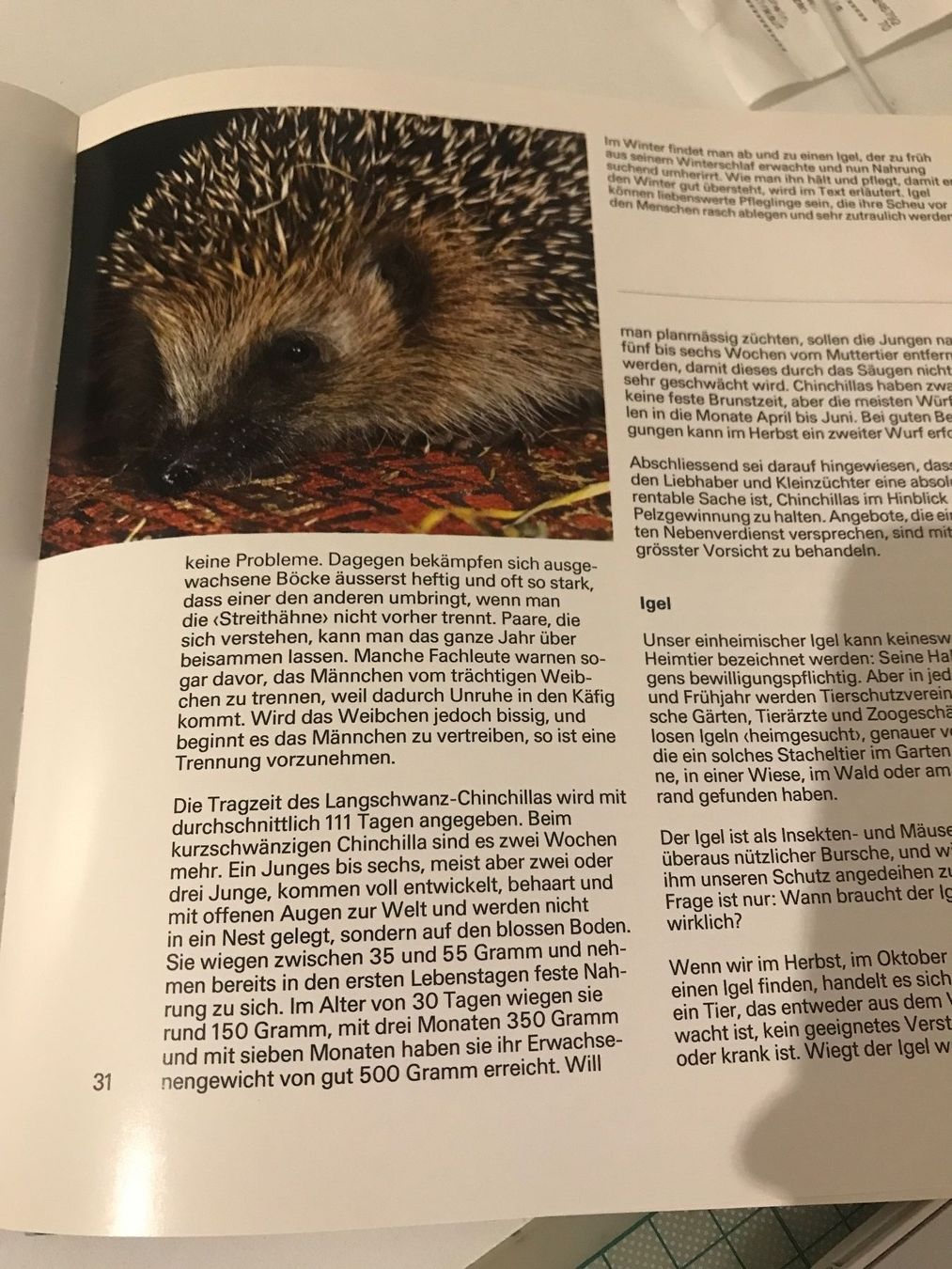 Livres: Unsere Heimtiere – D'occasion à Guntershausen par Gloominati 3