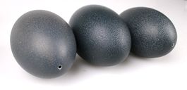 3 echte Emu-Eier ausgeblasen ca. 15cm – Natur Deko
