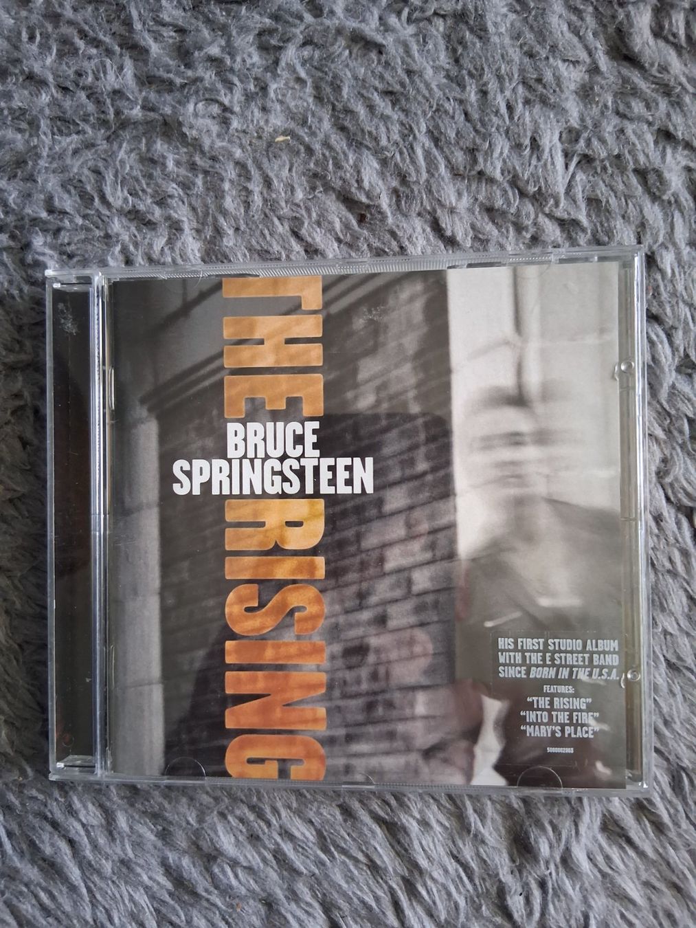 CD: BRUCE SPRINGSTEEN      THE RISING    CD – Usato da Wetzikon ZH venduto da Ramones01