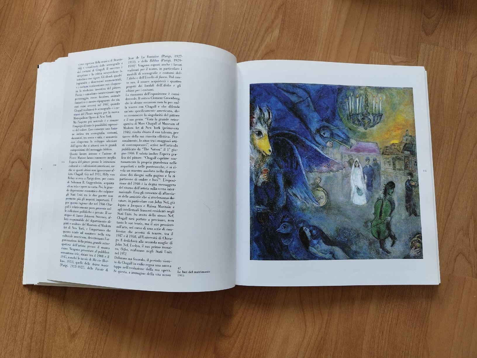 Libri: Catalogo Marc Chagall – Usato da Biasca venduto da val_camo93 1