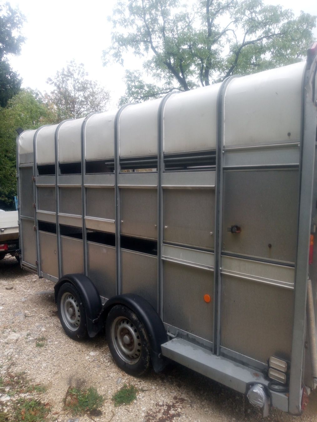 Ifor Remorques: Viehtransporter Ifor Williams – Défectueux à Rüttenen par Dart4 5