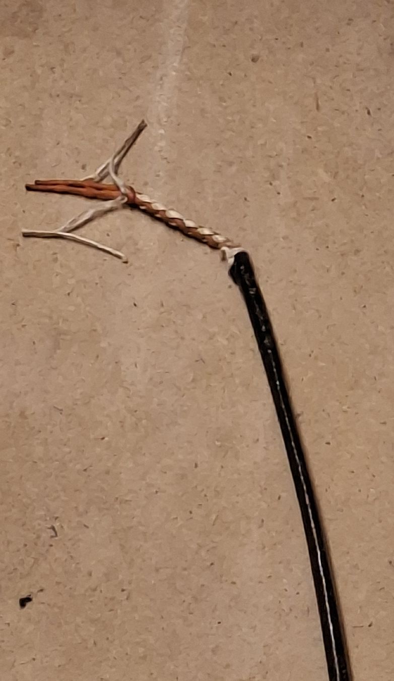 Altro in Accessori per animali: Schwarze Reitgerte mit Lederschlaufe. Peitsche  – Usato da Glattbrugg venduto da cub_w7l8 3