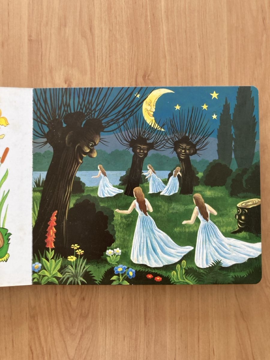Libri: Kinderbuch "Tanz der Elfen" von Erich Zimmer, – Usato da Schüpfheim venduto da Seerose80 3