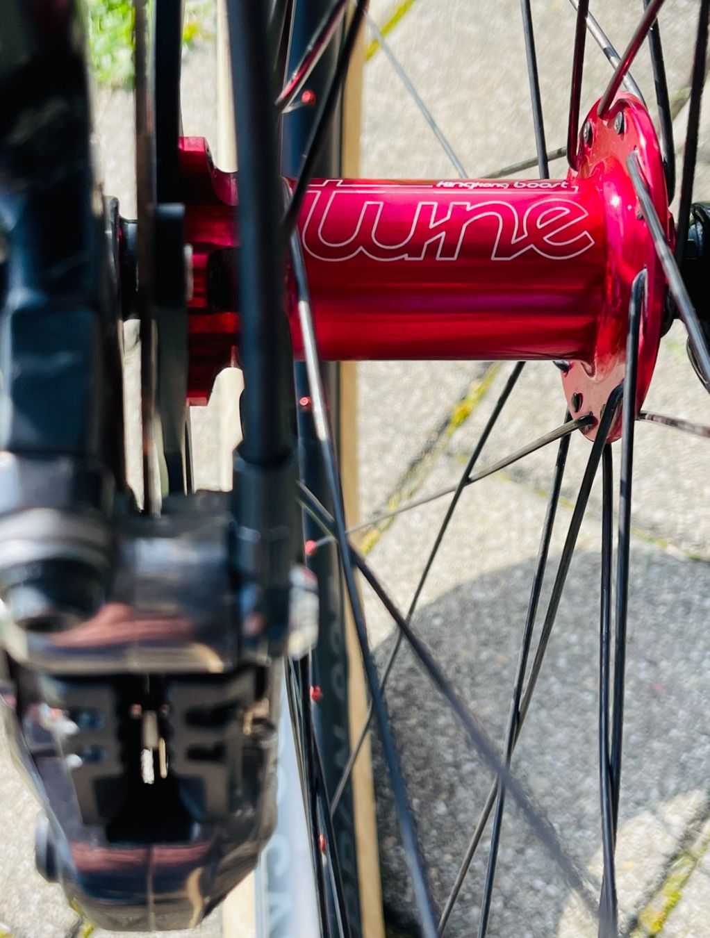 Velos: Transalpes E1 Carbon, High-End Light E-MTB, Rahmengrösse M – Gebraucht aus Sempach von Eule6072 4