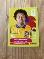 Panini Sammelbild