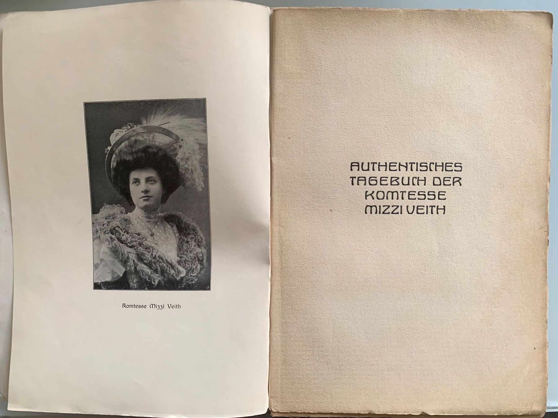 Bücher: Authentisches Tagebuch der Komtesse Mizzi Veith – Gebraucht aus Basel von SusaSandig 1