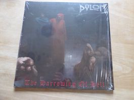 Pylon - The Harrowing Of Hell LP, Blue Vinyl