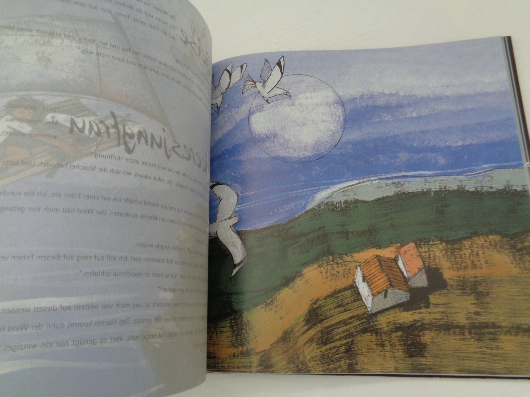 Libri: Angelo und die Möwe - Rudolf Mirer – Usato da Chur venduto da Oregano1 3