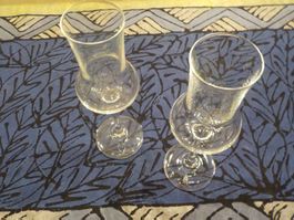 Schnapsgläser 2 Stück (1)