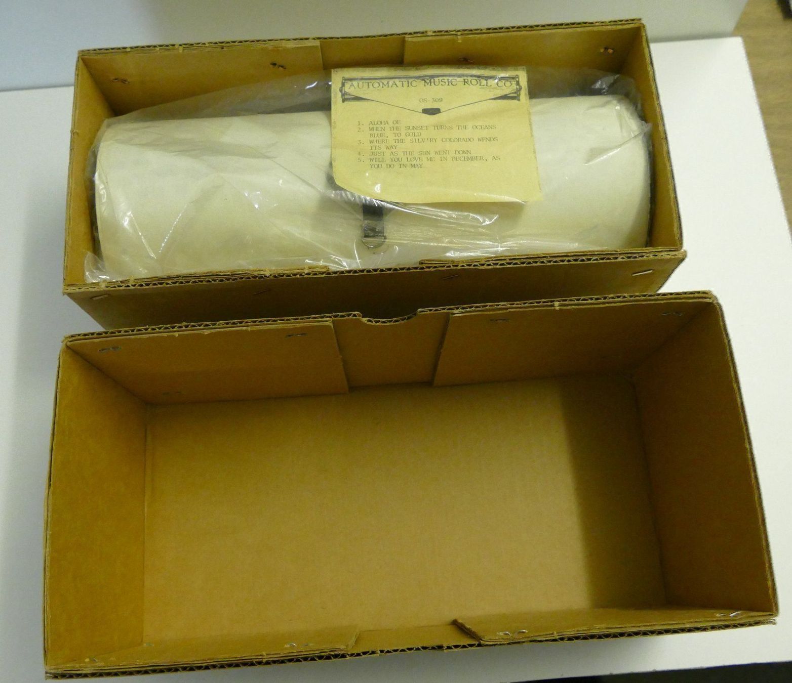 Strumenti musicali: Musikinstrument – Usato da Dietlikon venduto da kes_j6d7 2