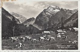 Ansichtskarte Madranertal, Alp Stössi, Gratisversand
