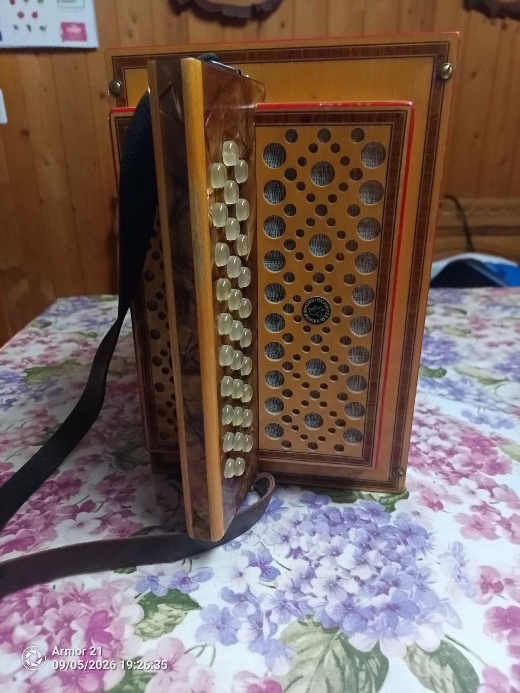 Eichhorn Strumenti musicali: Eichhorn Schwyzerörgeli – Usato da Rickenbach SZ venduto da Hoesi123 1
