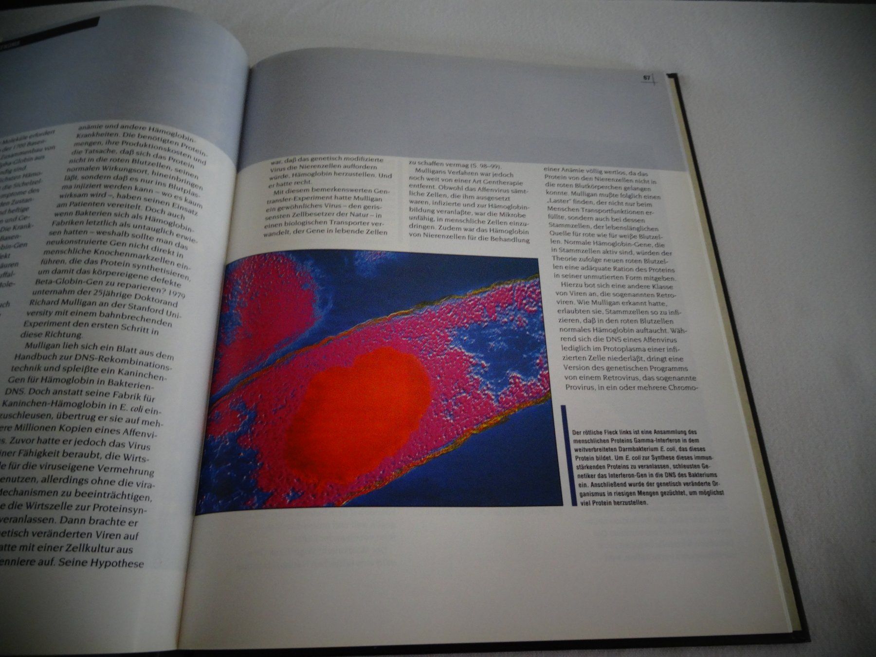 Libri: Der Genetische Code – Usato da Neerach venduto da jenny062 5