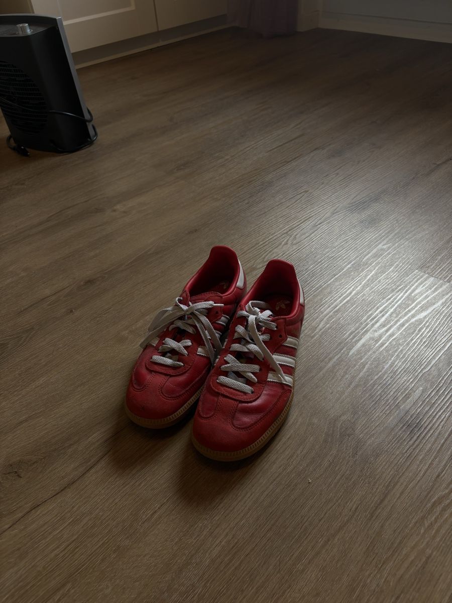 Adidas Scarpe da uomo: Adidas Samba – Usato da Ersigen venduto da mob_pc6d