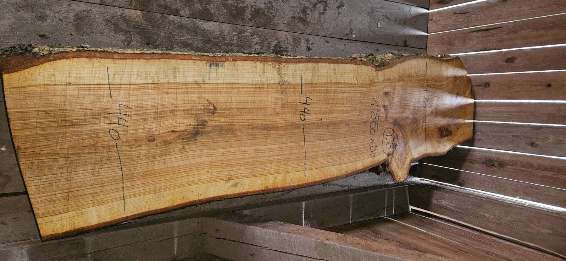 Articoli in legno: Kirschbaumbretter – Nuovo (secondo la descrizione) da Vielbringen Worb venduto da lua_cm7v 3
