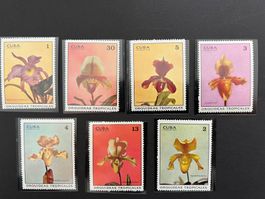 Orchideen Cuba ** Luxus (B215)