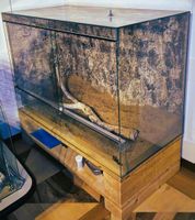 Grosses Terrarium mit Holzunterbau