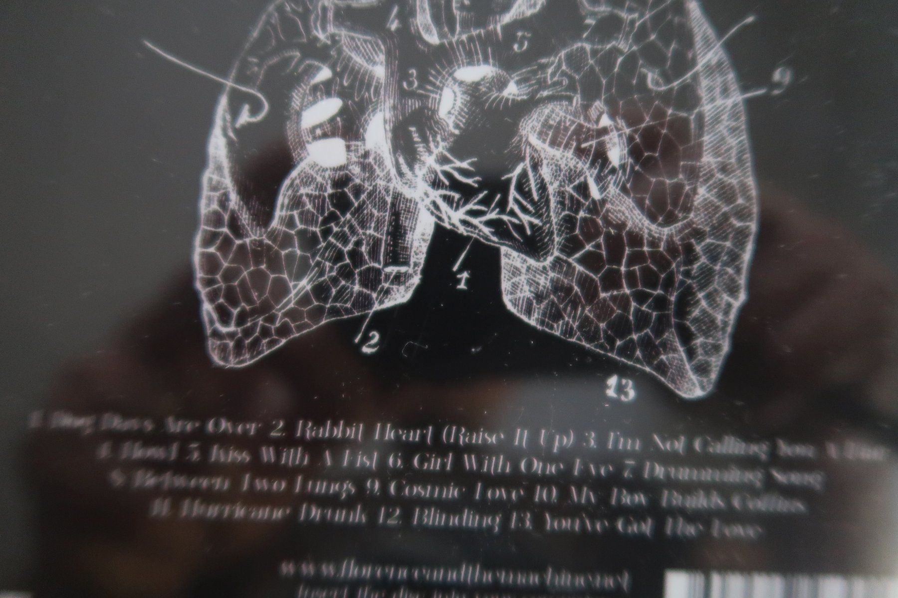 CDs: FLORENCE + THE MACHINE - LINGS - CD – D'occasion à Basel par Patiscat 2