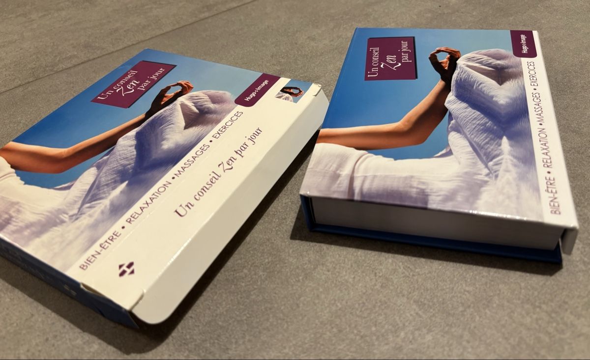 Libri: Éphéméride Zen, un conseil par jour – Nuovo e nell'imballaggio originale da Cudrefin venduto da sdz_trl6 3
