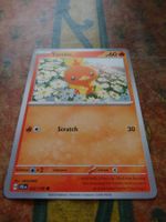 POKEMON  Torchic    H  JTG EN    022/159     HP60    2025